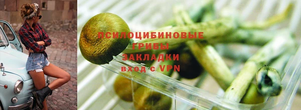 бутират Гусь-Хрустальный