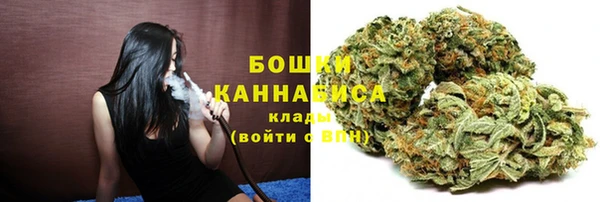 крисы Гусев