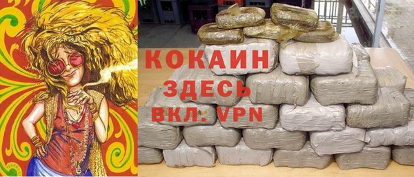 крисы Гусев