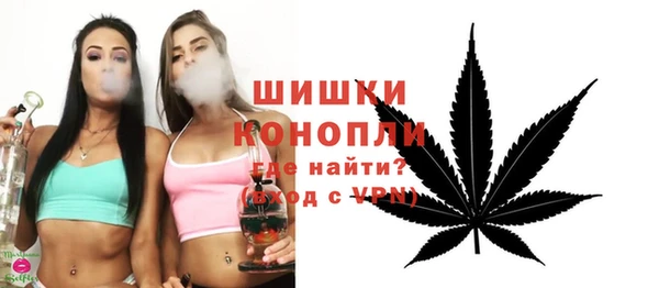 бутират Гусь-Хрустальный