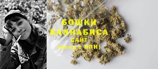 крисы Гусев