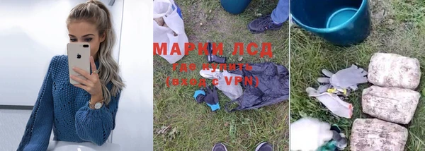 крисы Гусев