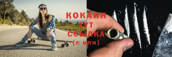 крисы Гусев
