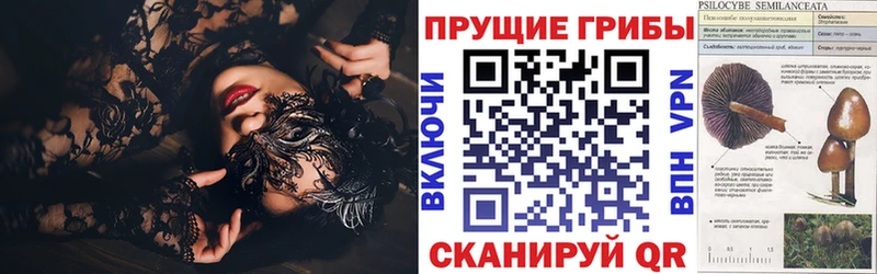 Псилоцибиновые грибы прущие грибы Верея
